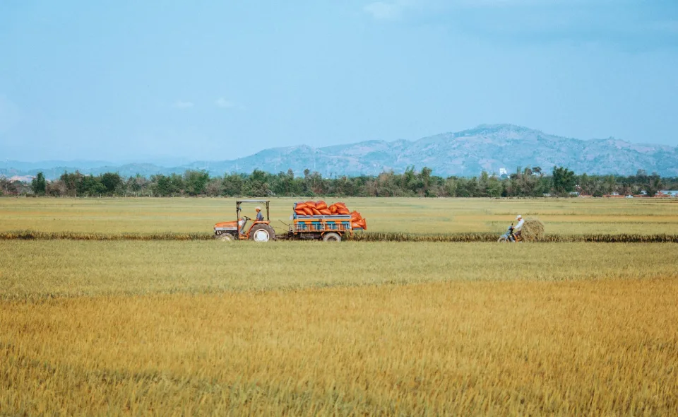 Kho gạo của Phan Văn May